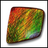 ammolite